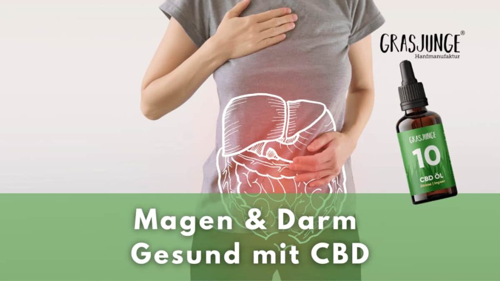 CBD bei Magen Darm