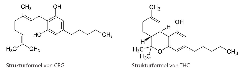 Strukturformeln von CBG und HHC