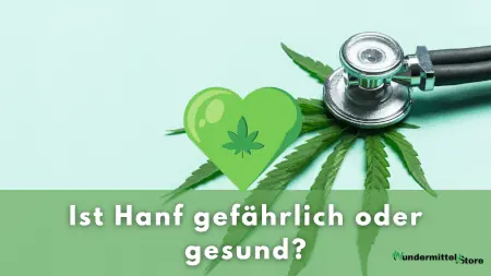 Hanf - gesund oder gefährlich